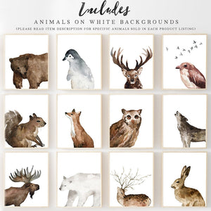 Wildwood Collection - Full Woodland + Arctic Animal Collection Without Words - Instant Download